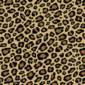 Leopard Stock Design Tissue Paper (B)